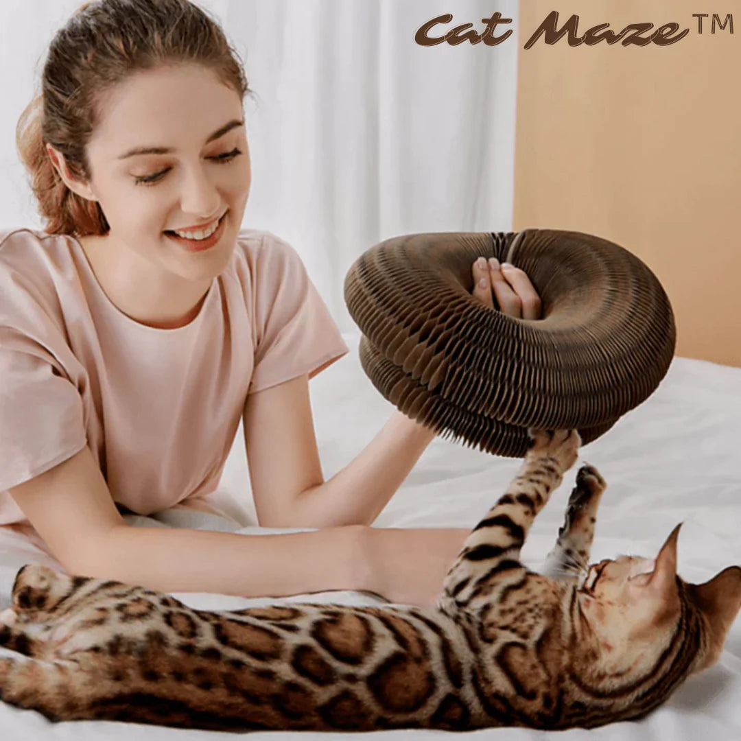 CatMaze™ Cat Toy