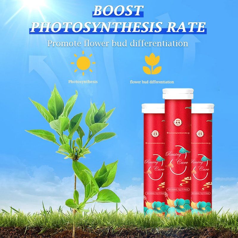 VegiBloom™ Natürliche Tabletten für den Pflanzenanbau