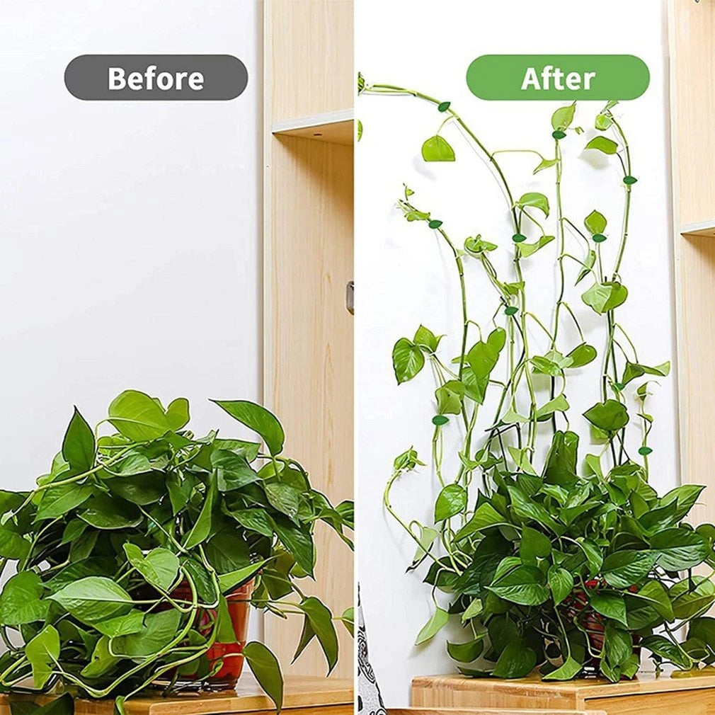 PlantFixr™️ Pflanzenklammerhaken | Bringen Sie Leben in Ihr Zuhause!